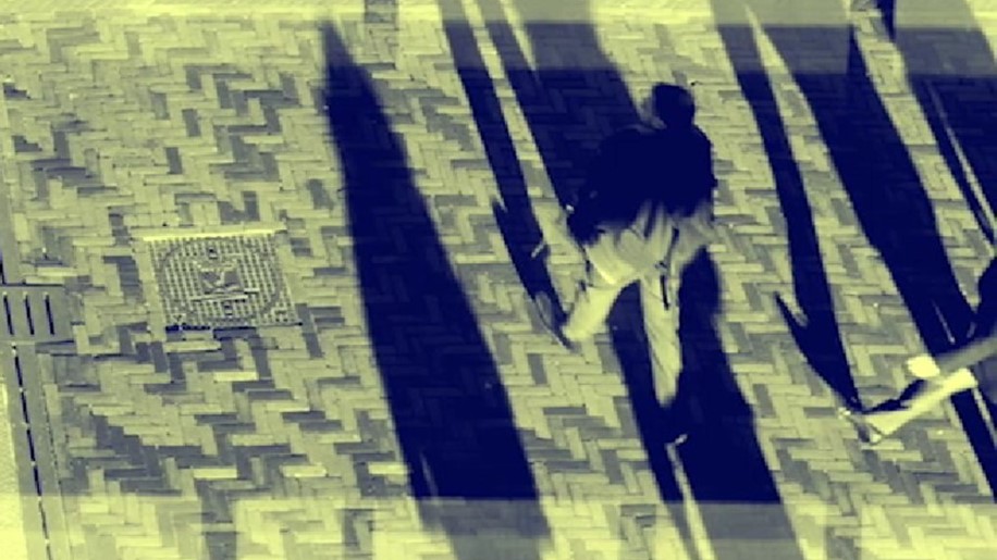 Afbeelding bij video: Werken voor de overheid