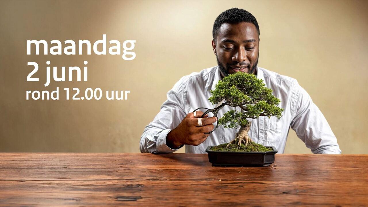 Afbeelding bij video: NL-Alert Testbericht bonsai - 2 juni 2025 | formaat 16x9