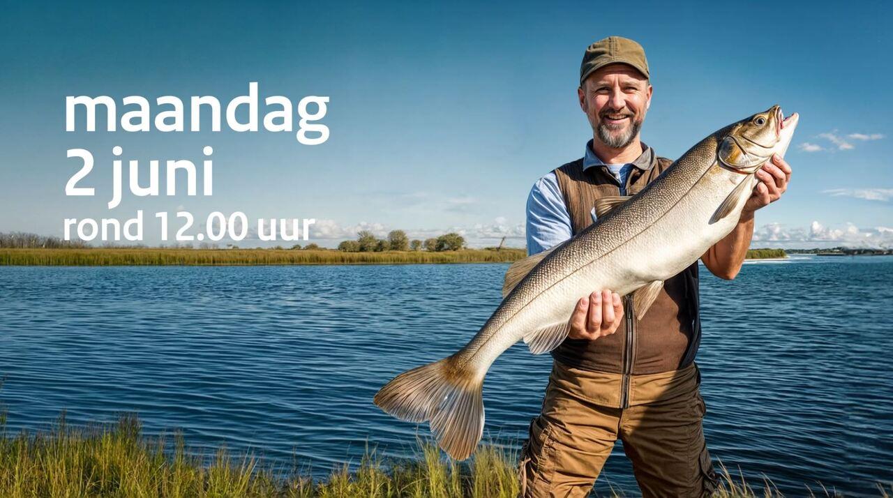 Afbeelding bij video: NL-Alert Testbericht vis - 2 juni 2025 | formaat 16x9