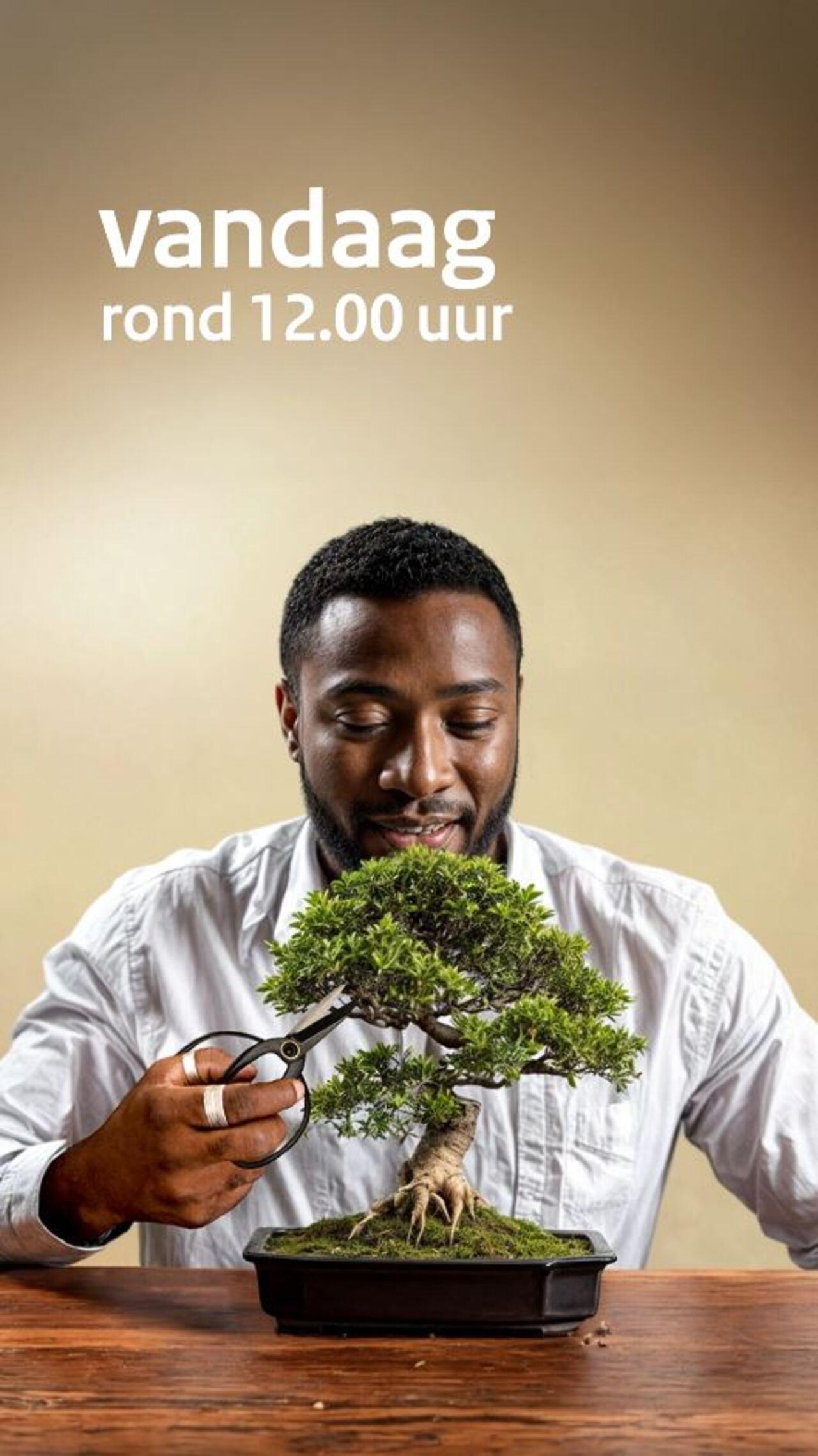 Afbeelding bij video: NL-Alert Testbericht bonsai - vandaag | formaat 9x16
