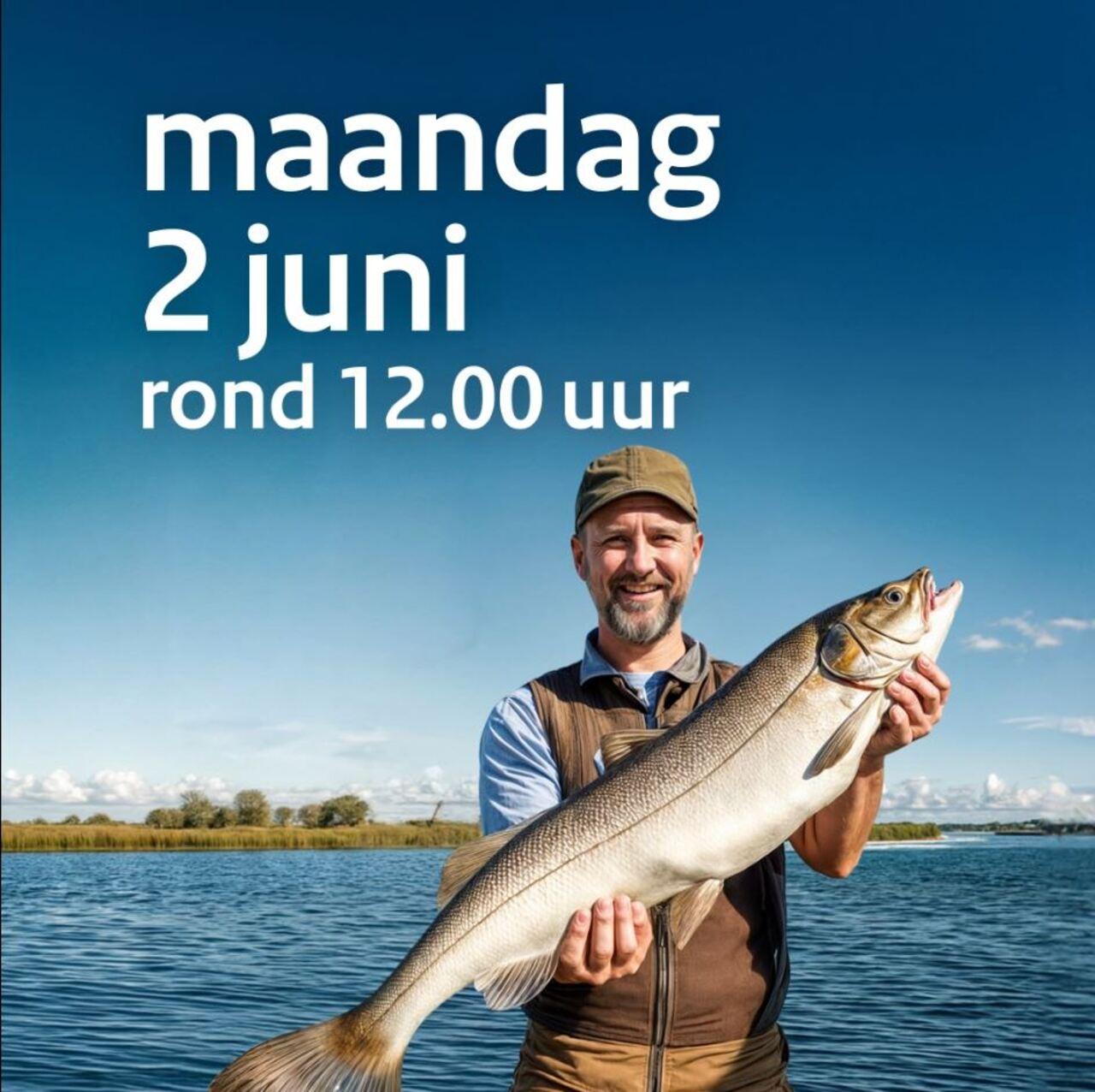 Afbeelding bij video: NL-Alert Testbericht vis - 2 juni 2025 | formaat 1x1