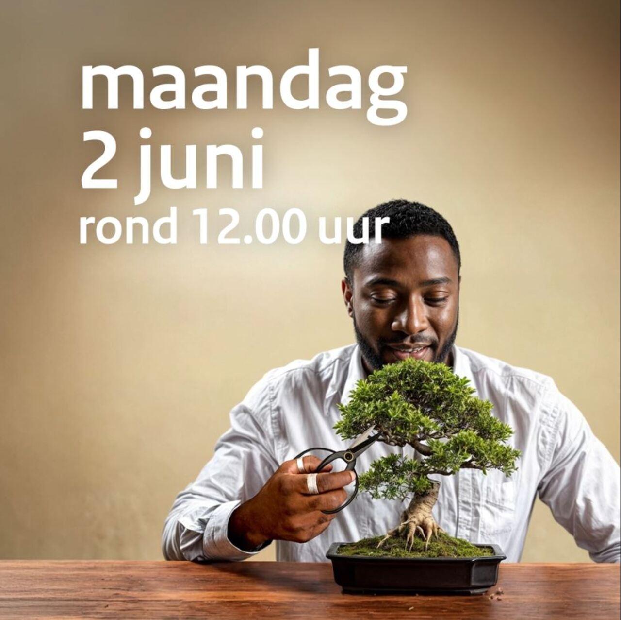 Afbeelding bij video: NL-Alert Testbericht bonsai - 2 juni 2025 | formaat 1x1