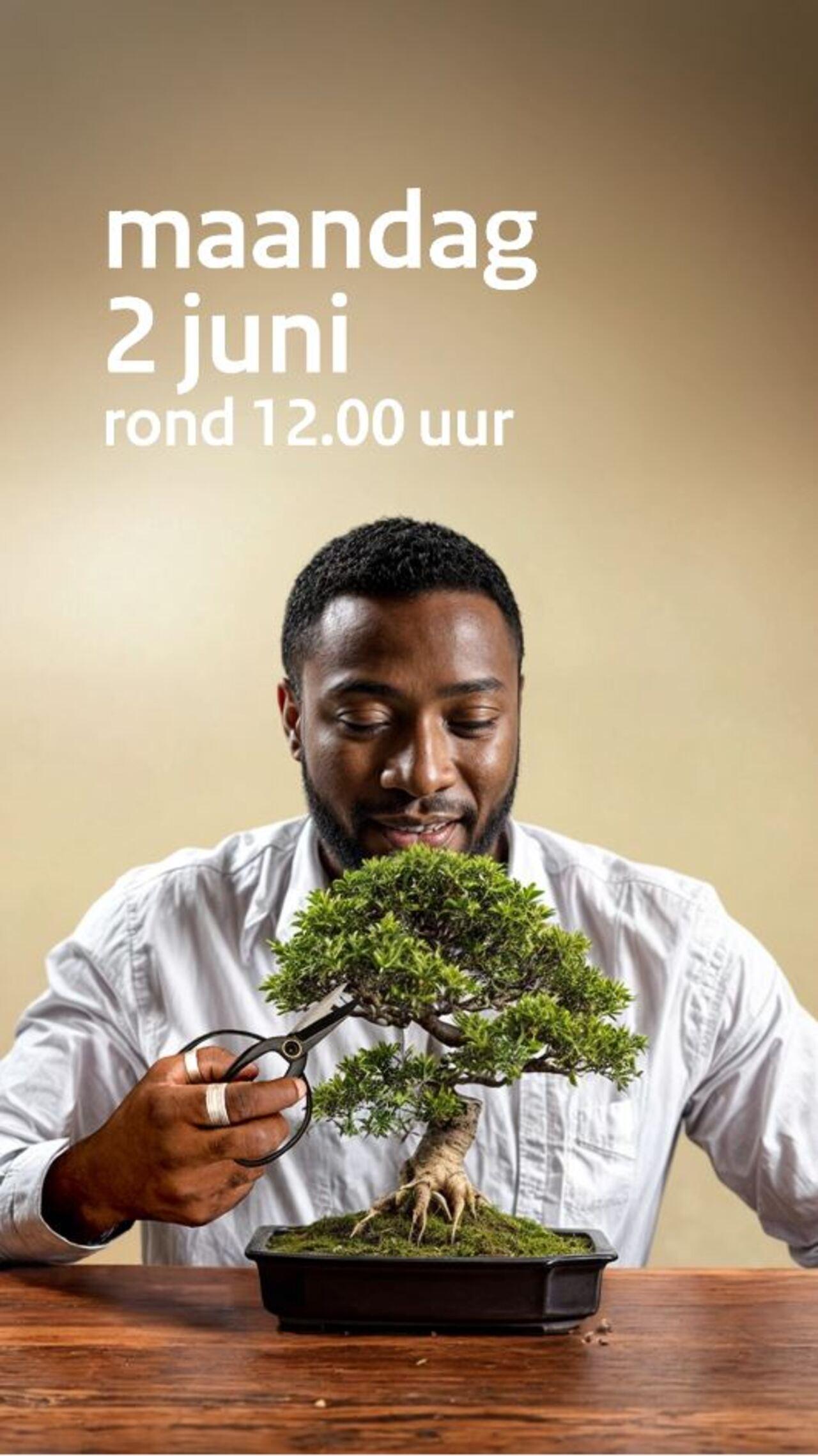 Afbeelding bij video: NL-Alert Testbericht bonsai - 2 juni 2025 | formaat 9x16