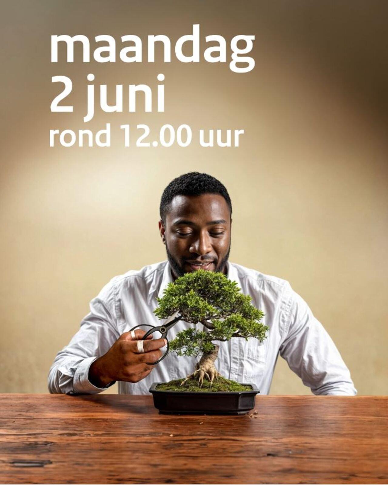 Afbeelding bij video: NL-Alert Testbericht bonsai - 2 juni 2025 | formaat 4x5
